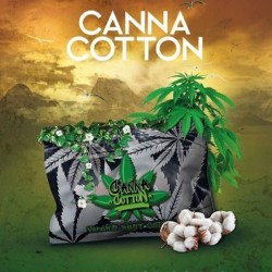 Cotton Canna