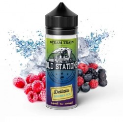 Delizia Double Ice - Old Stations 24ml/120ml By Steam Train