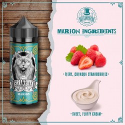 Marion Flavor Shots 120ml - Steampunk
