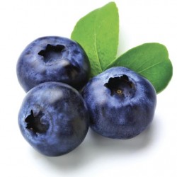 Atmos Lab Blueberry Flavour 10ml