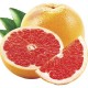 Atmos Lab Grapefruit Flavour 10ml 