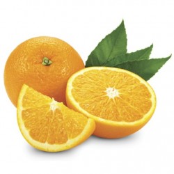 Atmos Lab Orange Flavour 10ml 