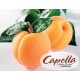 Capella Apricot Flavor 10ml